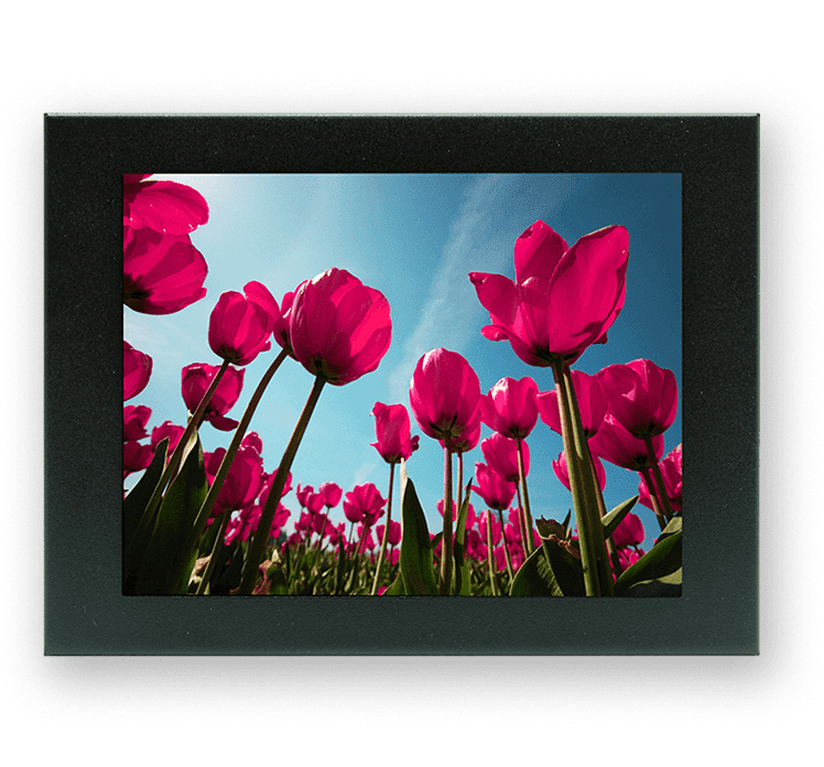 Industrial Monitors AP-SLD0625 Product Image 3